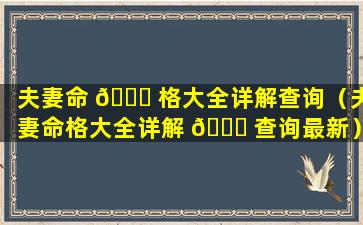 夫妻命 🐞 格大全详解查询（夫妻命格大全详解 🐟 查询最新）